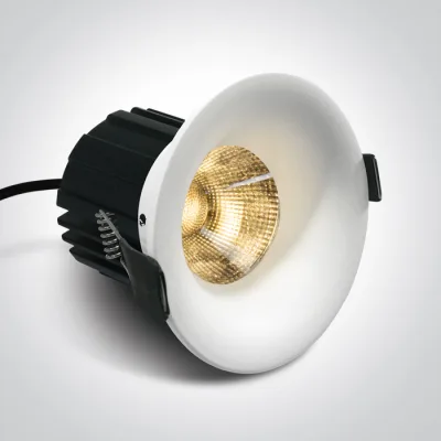 10112R/W/W WHITE COB 12W WW 700mA DARK LIGHT IP65