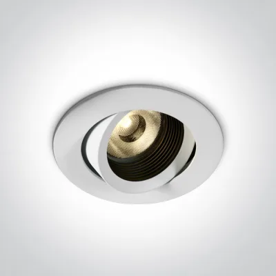11113D/W/W WHITE LED 13W WW 350mA ADJUSTABLE IP54 DARK LIGHT