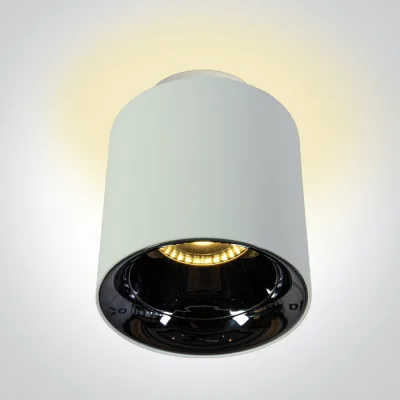 12112A/W/W WHITE 10W+2W WW IP20 60deg 230V DARK LIGHT