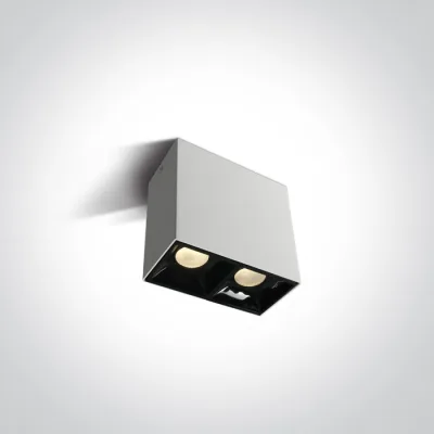 12207B/W/W WHITE  2x7W WW  IP20 100-240V
