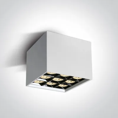 12906B/W/W WHITE LED 30W WW 38deg IP20 230V