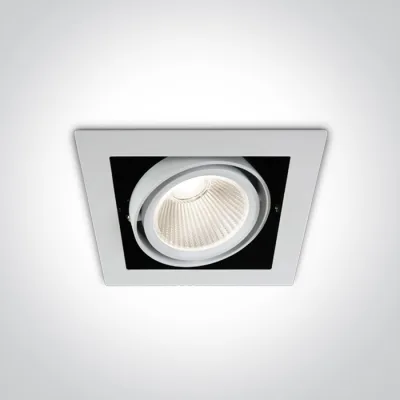 51130/W/C WHITE COB 30W CW 38deg 230V