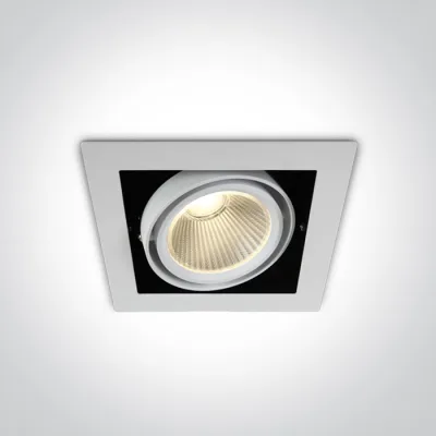 51130/W/W WHITE COB 30W WW 38deg 230V