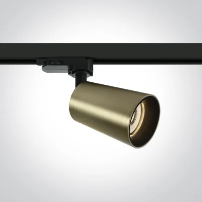 65105CT/BBS BRUSHED BRASS 10W GU10 TRACK SPOT 100-240V DARK LIGHT