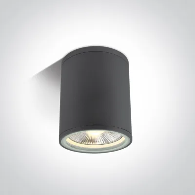 67132C/AN ANTHRACITE CYLINDER PAR30 E27 20W IP54