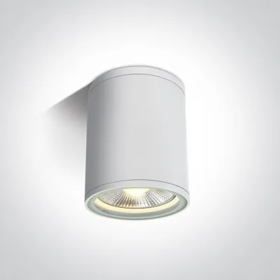 67132C/W WHITE CYLINDER PAR30 E27 20W IP54