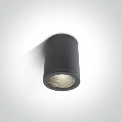 67138C/AN/W ANTHRACITE COB 6W WW IP54 100-240V
