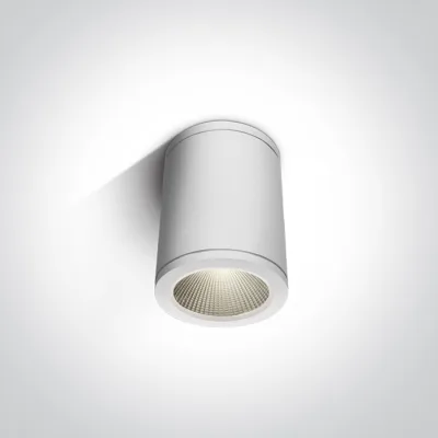 67138C/W/W WHITE COB LED 6W WW IP54 100-240V