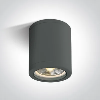 67142C/AN ANTHRACITE CYLINDER E27 10W PAR30 IP65