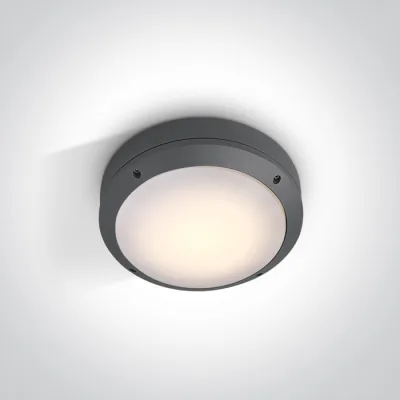 67204/AN ANTHRACITE IP54 E27 12W