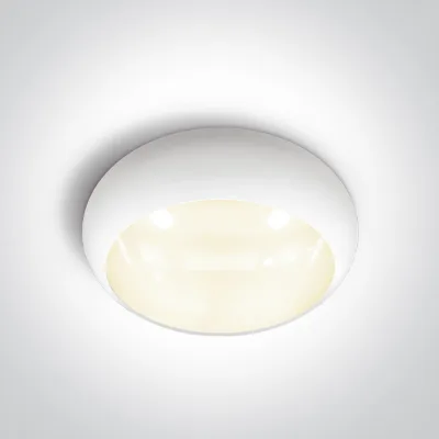 67218E/W/V WHITE EMERGENCY 3Hrs PLAFO 15W CCTV IP65 230V