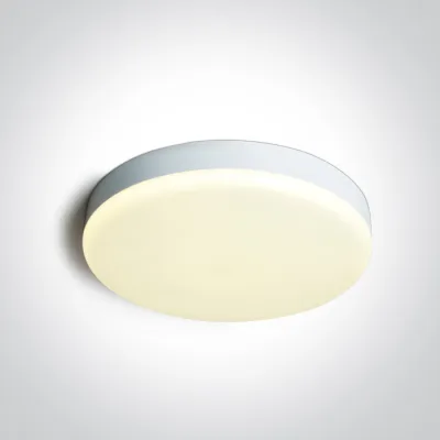 67220A/W/V WHITE PLAFO 26W CCTV IP65 230V