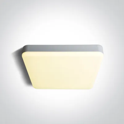 67220E/W/V WHITE PLAFO 35W CCTV IP65 230V