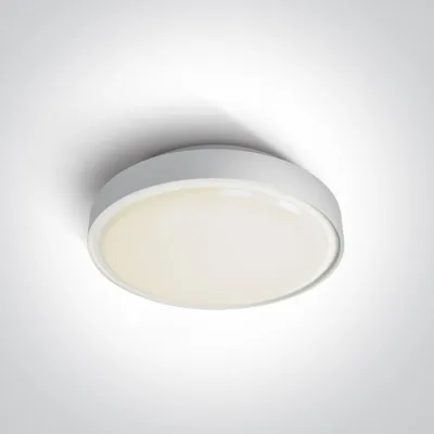 67280AN/W/W WHITE LED PLAFO 24W WW IP65 230V