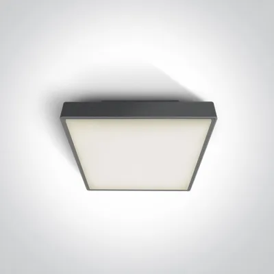 67282N/AN/W ANTHRACITE PLAFO 16W WW IP65 230V