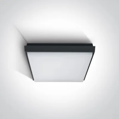 67362A/AN/W ANTHRACITE PLAFO 20W WW IP54 230V
