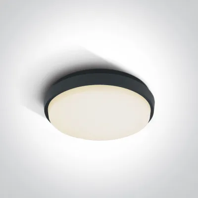 67362/AN/W ANTHRACITE PLAFO 20W WW IP54 230V
