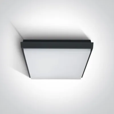 67363A/AN/W ANTHRACITE PLAFO 30W WW IP54 230V