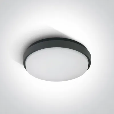 67363/AN/W ANTHRACITE PLAFO 30W WW IP54 230V