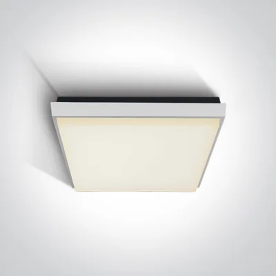 67363A/W/W WHITE PLAFO 30W WW IP54 230V