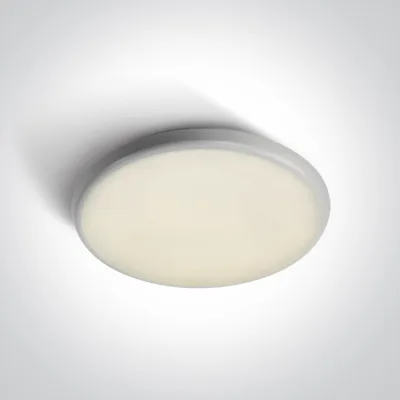 67370/W/C WHITE PLAFO 25W CW IP54 230V