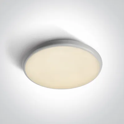 67370/W/V WHITE PLAFO 25W CCTV IP54 230V
