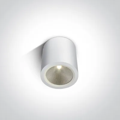 67380/W/W WHITE COB LED 10W WW IP54 60d 230V