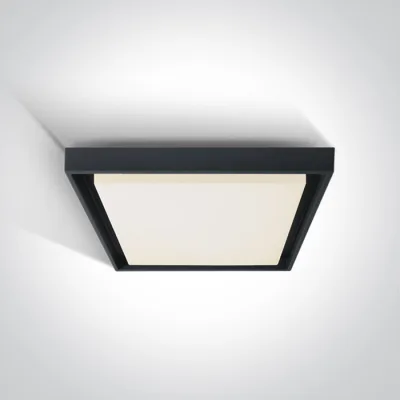 67384A/AN/W ANTHRACITE PLAFO LED 30W WW IP54 230V