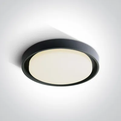 67384/AN/W ANTHRACITE PLAFO 30W WW IP54 230V