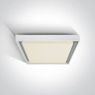 67384A/W/W WHITE PLAFO 30W WW IP54 230V