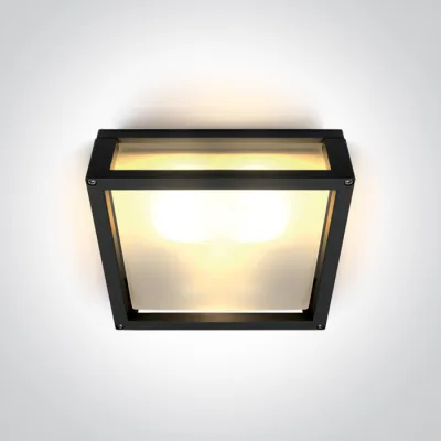 67420B/B BLACK E27 2x12W PLAFO IP54