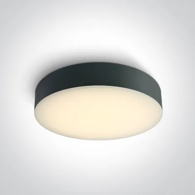 67498/AN/V ANTHRACITE PLAFO 20W CCTV IP65 230V