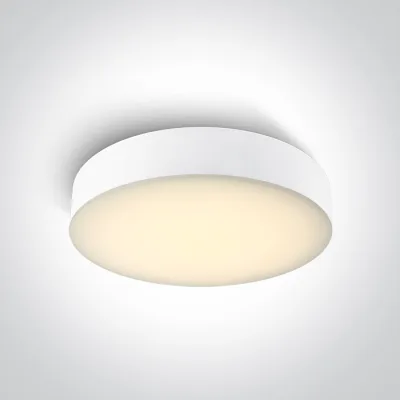 67498/W/V WHITE PLAFO 20W CCTV IP65 230V