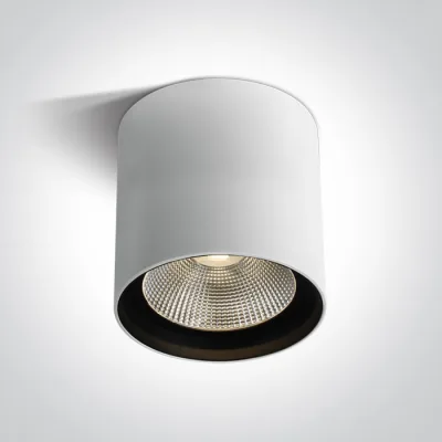 67516C/W/W WHITE COB 40W WW IP65 230V DARK LIGHT