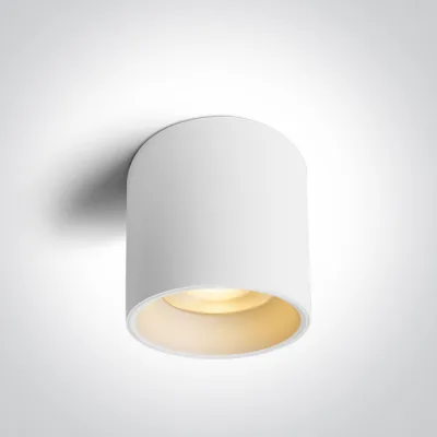 67540C/W/V WHITE 25W CCTV IP65 230V DARK LIGHT