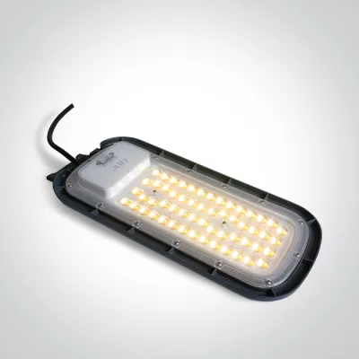 70118B/AN/V ANTHRACITE STREET LIGHT 100W CCTV IP65 230V