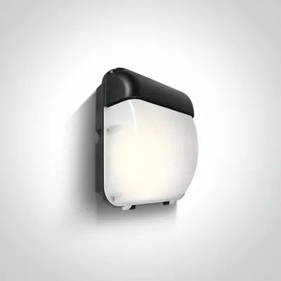 7056A/C LED WALL LIGHT 50W CW IP65 230V BLACK