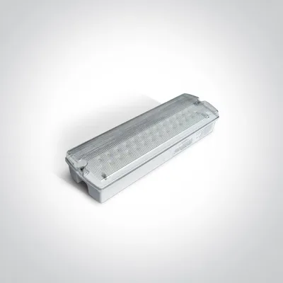 89404 WHITE 5W EMERGENCY M3hrs IP65 230V