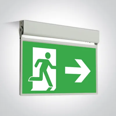 89414/W WHITE WALL/CEILING EMERGENCY 1W IP20 M3h 230V SELF TEST