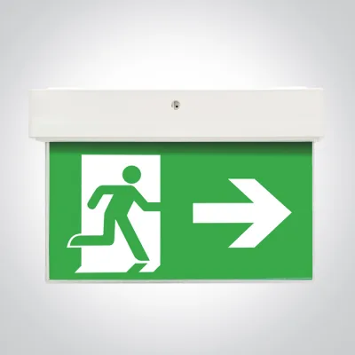 89416 WHITE WALL/CEILING/RECESSED EMERGENCY 3W IP20 M3h 230V SELF TEST